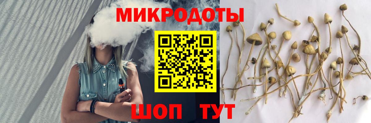 Псилоцибиновые грибы Psilocybe  Вход с VPN  Псилоцибиновые грибы Cubensis  Россошь 